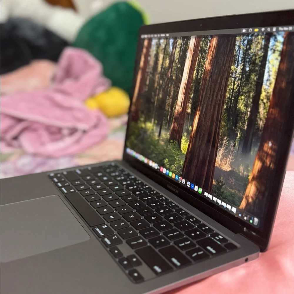 Apple Laptop - Dark Gray Finish